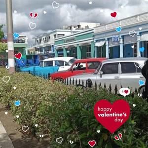 Meet your Posher, Wanda